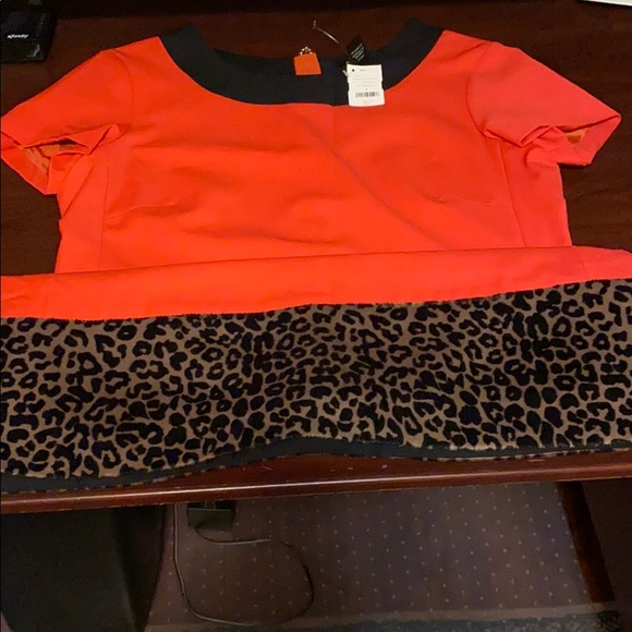 Dress - Picture 6 of 7